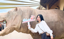 HÀNH TRÌNH “KẾT NỐI VƯƠN XA” CÙNG DHS DU HỌC NGHỀ ĐỨC 13,14/07