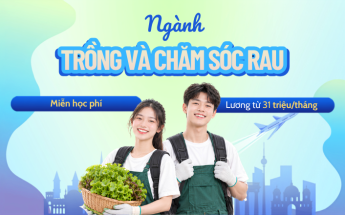 Du học nghề Đức 2026 - Ngành Trồng và Chăm sóc rau, trợ cấp khi học đến 40 triệu/tháng