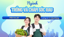 Du học nghề Đức 2026 - Ngành Trồng và Chăm sóc rau, trợ cấp khi học đến 40 triệu/tháng