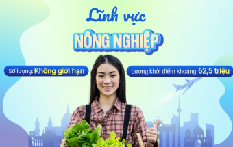 Du học nghề Đức với bằng tiếng Đức A2, nhập học tháng 8/2025, nhiều ngành học đa dạng như làm vườn, trồng cây ăn quả, bán hàng