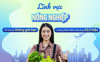 Du học nghề Đức với bằng tiếng Đức A2, nhập học tháng 8/2025, nhiều ngành học đa dạng như làm vườn, trồng cây ăn quả, bán hàng