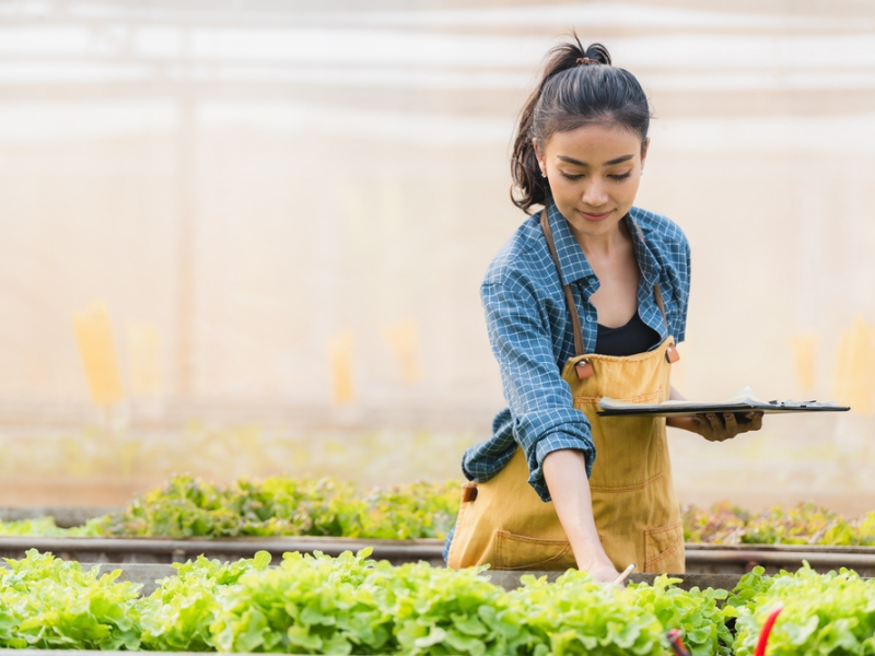 Du học nghề Đức ngành Nông nghiệp